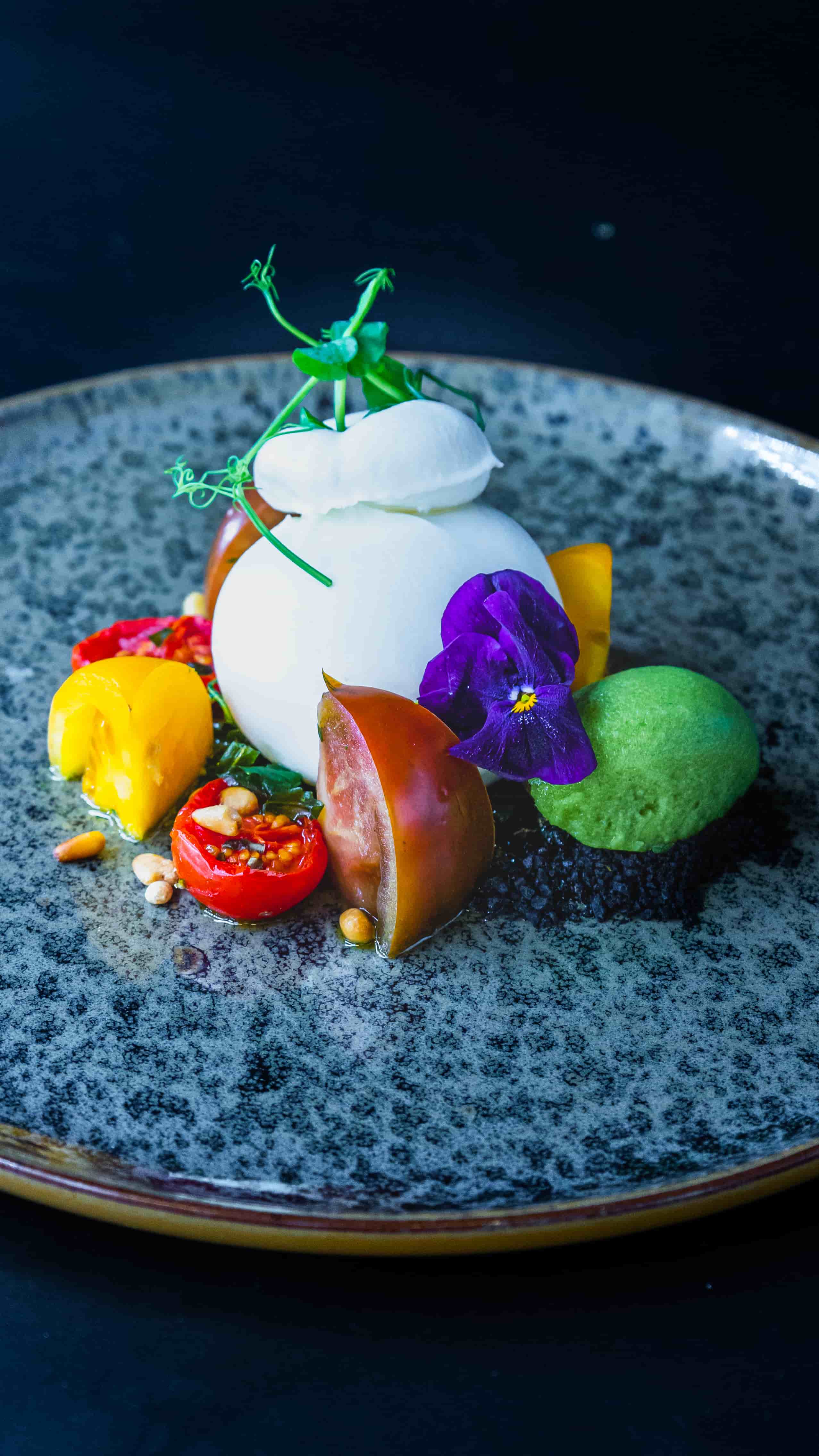 Plated burrata appetizer